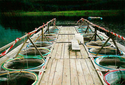 Mesocosms